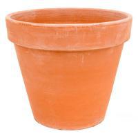 Кашпо Terra Cotta Flowerpot antiques, D17хH15см