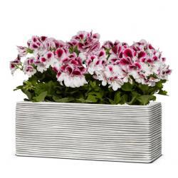 Кашпо Capi Nature Planter Rectangle Rib